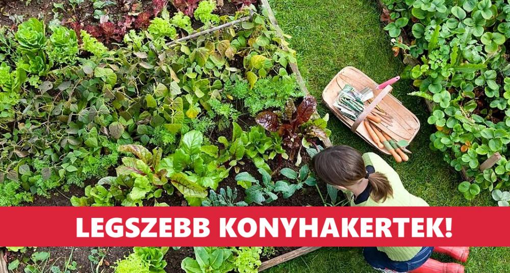 ˝A legszebb konyhakertek˝ Nagyesztergáron